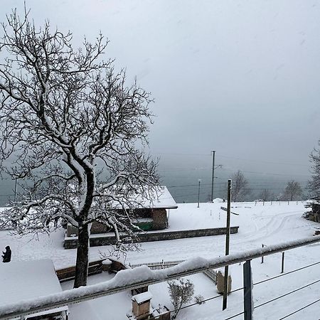 Lake View Residence Niederried bei Interlaken ภายนอก รูปภาพ