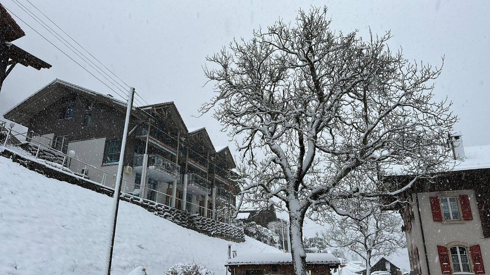 Lake View Residence Niederried bei Interlaken ภายนอก รูปภาพ