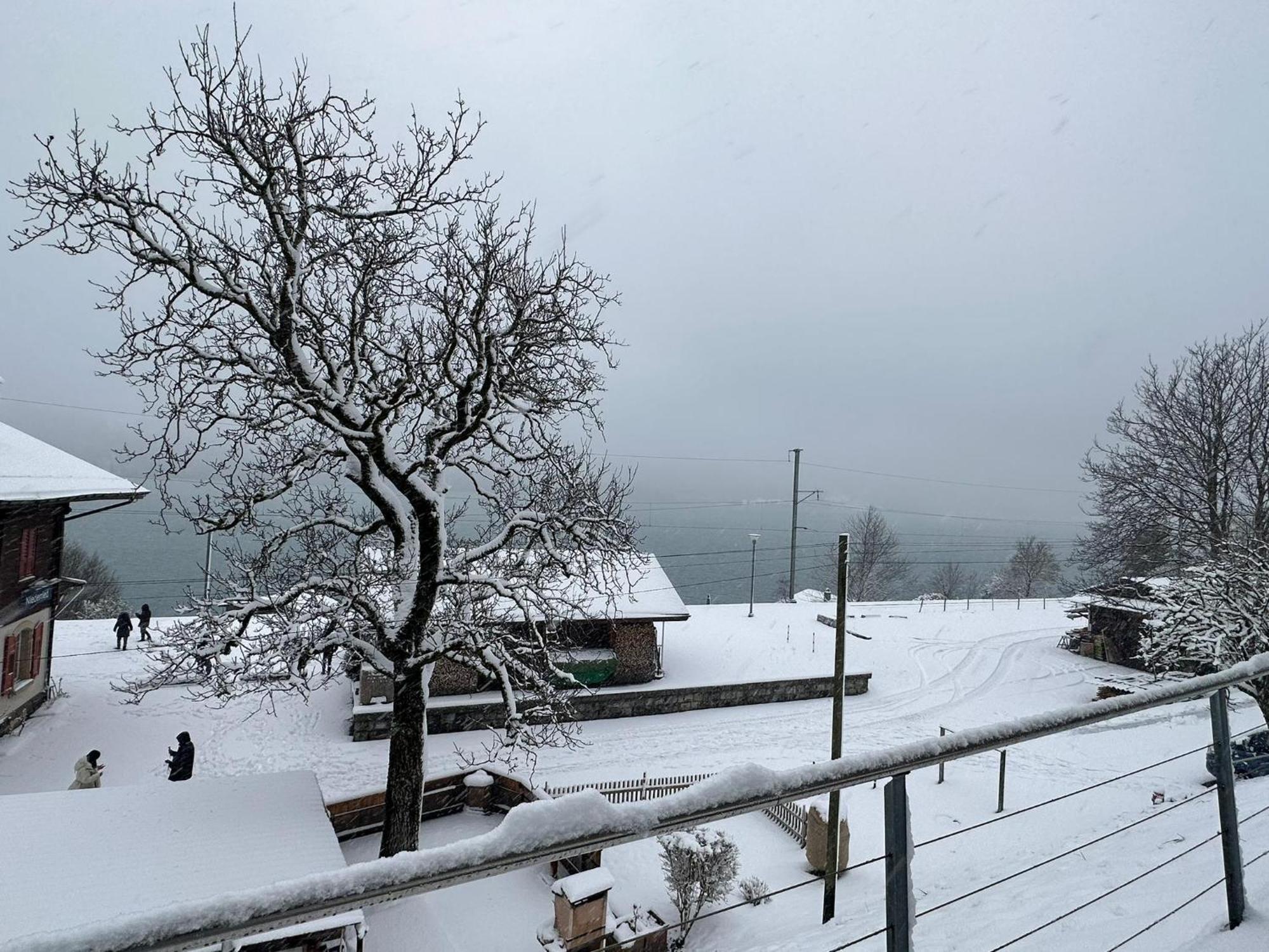Lake View Residence Niederried bei Interlaken ภายนอก รูปภาพ