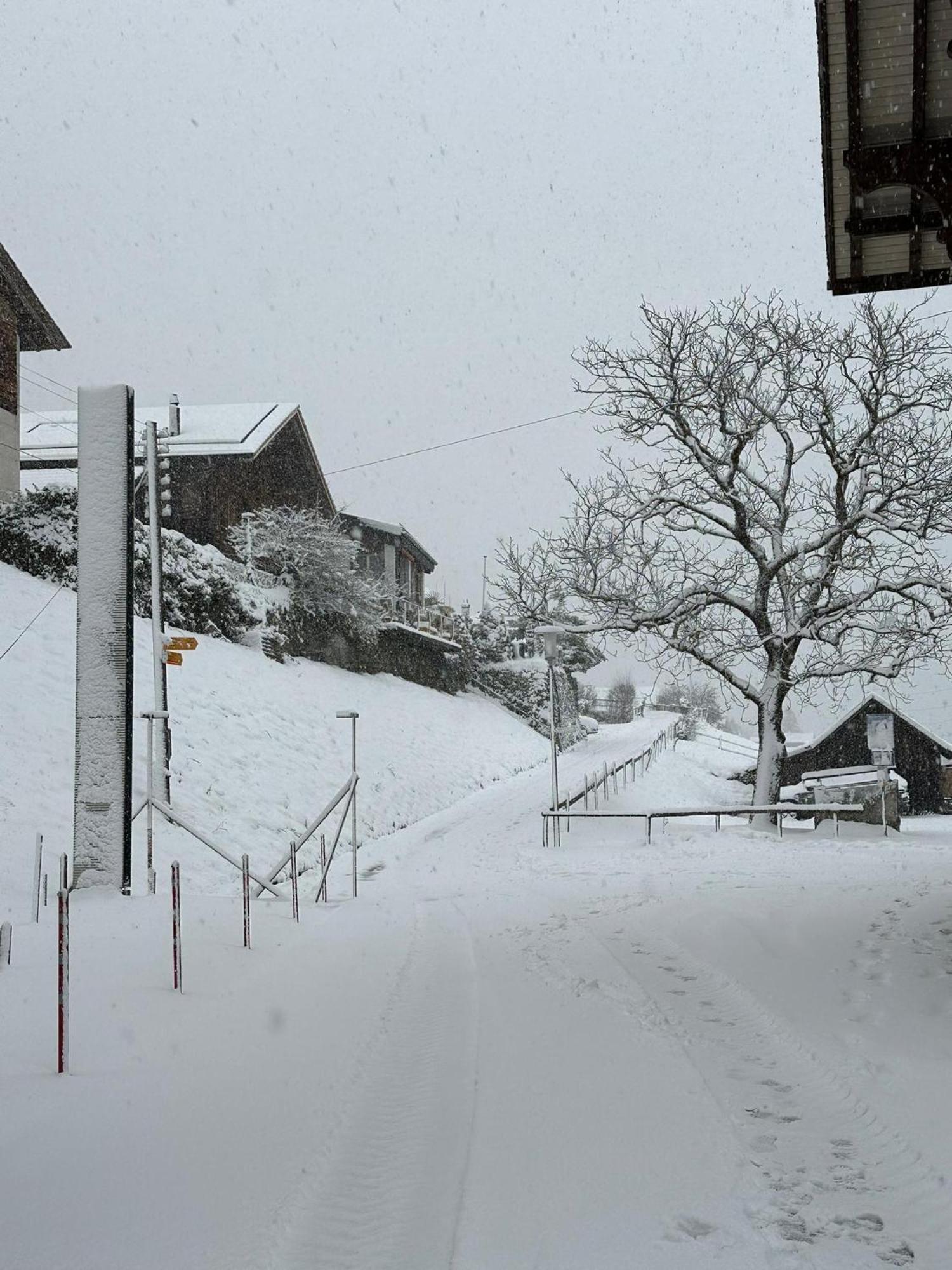 Lake View Residence Niederried bei Interlaken ภายนอก รูปภาพ